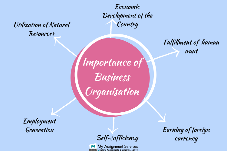 importance of business organizations 