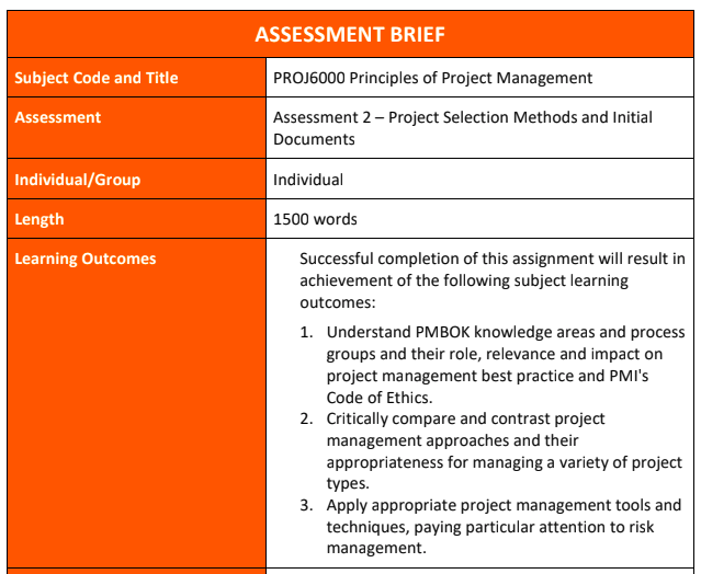 project management assignment brief uae