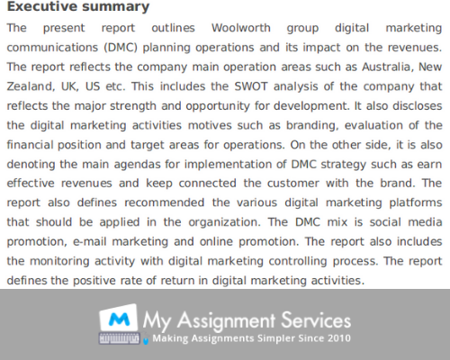 digital marketing assignment executive summary